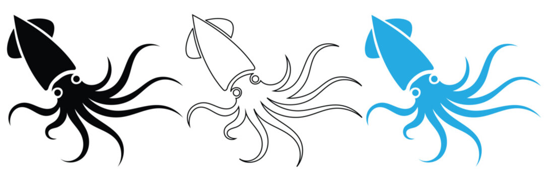 Three squid illustrations in black, white, and blue colors,Squid, octopus and cuttlefish in icons and symbol, vector,Squid silhouette illustration vector design.
