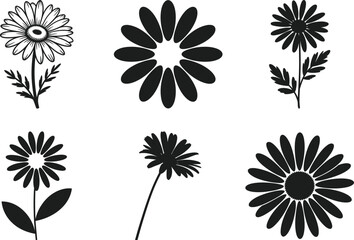 Daisy Flower Silhouette Vector Set Floral Icons
