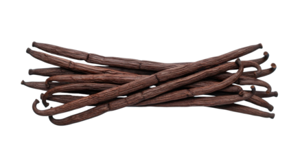 Dark Green Blank Hoodie Product Shot Front and Back