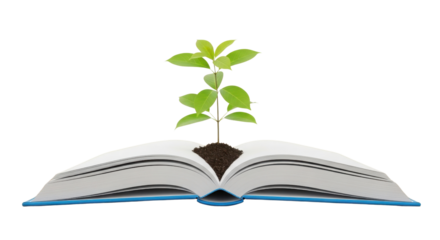 Green Plant Sprouting from Open Book