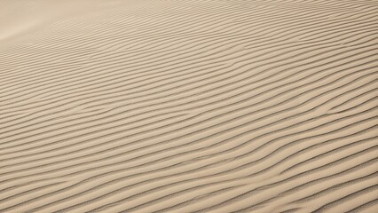 Obraz premium Close Up of Natural Ripples and Patterns in Desert Sand Dunes for Minimalist Texture