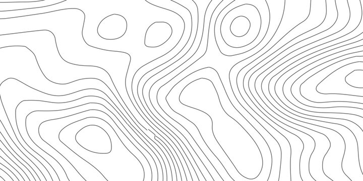 Seamless black and white abstract vector background featuring a stylish pattern of curved lines and wave textures for a modern 3d wallpaper design