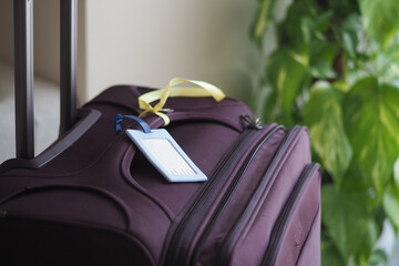 Luggage with tag placed near a green plant indoors