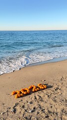 Obraz premium Oranges, New Year's decorations on the beach. Christmas by the sea. High quality photo