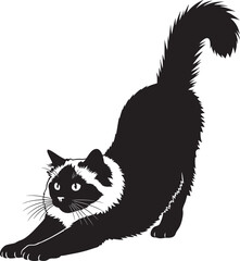 Fototapeta premium Black cat in yoga pose on white background