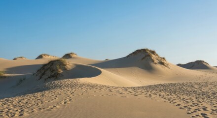 Vast expanse of sandy dunes under a clear sky. Footprints crisscross the pale beige sand