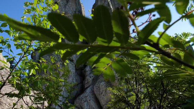 A low-angle, sunlit shot capturing the towering, rugged rock formations (specifically the "Two-headed Hill" or Dvuglavaya Sopka) in Taganai National Park, near Zlatoust, Chelyabinsk Oblast, Southern U