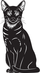 Black cat sitting in a white background © Rulia