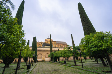 Scenic view of the Mezquita Cathedral of Cordoba featuring the historic orange grove and tall cypress trees under a spring evening sky in Spain.
