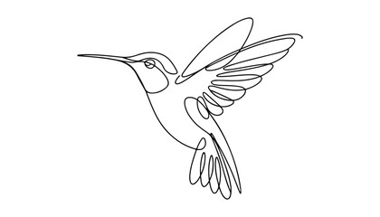 Fototapeta premium One continuous line illustration of an Hummingbirds , isolated on white background.