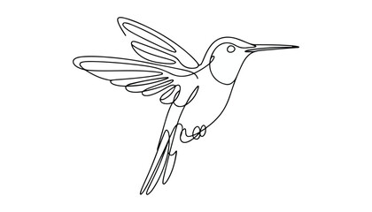 Obraz premium One continuous line illustration of an Hummingbirds , isolated on white background.