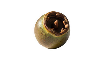 Green sapodilla fruit with brown pit  tropical fruit