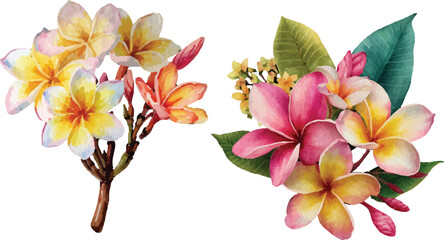 Obraz premium vector illustration of a flower