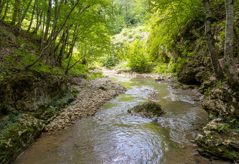 Autumn, a small shallow stream rushes to the big water through the forest