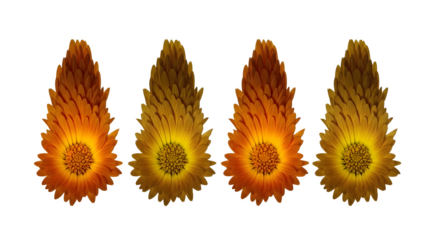 Valentine's day fire hearts isolated on transparent background