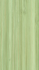 Bamboo forest adventure nature trail photography lush green environment close-up view tranquil concept