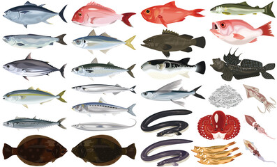 魚介類のイラスト・アイコン②（鮪、鯛、うなぎ、鮭、ふぐ）