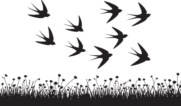 Black silhouette swallows flying over a field of flowers