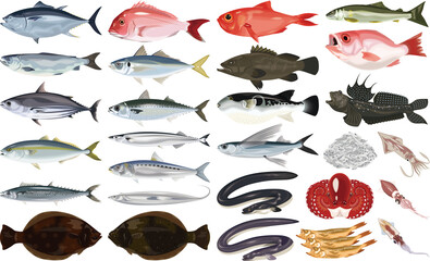 魚介類のイラスト・アイコン②（鮪、鯛、うなぎ、鮭、ふぐ）	