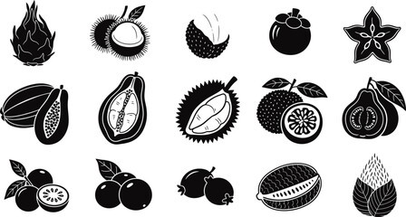 Tropical Exotic Fruit and Plant Icon Set - Detailed Black Solid Vector Symbols for Natural Food Products and Nutrition