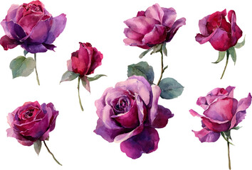 Fototapeta premium bouquet of pink roses