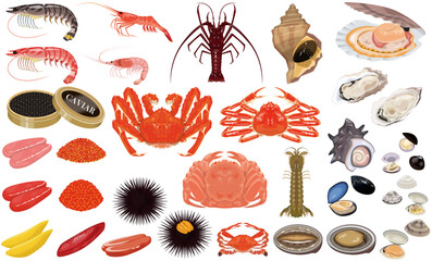 魚介類のイラスト・アイコン③（蟹、海老、ホタテ、牡蠣、うに、いくら）