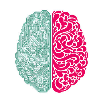 Split brain illustration showing logical circuits on one side and organic patterns on the other symbolizing duality.