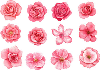 seamless pattern with pink roses