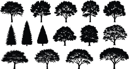 Black tree silhouettes set, isolated vector collection of various deciduous and coniferous forest trees, oak, pine, maple shapes for nature landscape design elements © MstShefaly