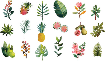 set of different berries and leaves © Abu