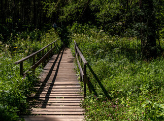 Fototapeta premium A small wooden bridge over a ditch in the forest.