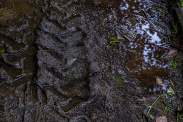 Tractor tread mark in the mud close-up.
