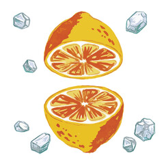 Lemon and Salt Illustration with a Print-Style Aesthetic