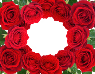 Floral frame made of red roses with empty center, isolated on white and transparent