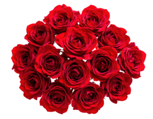 Red roses in simple flat layout, isolated on white and transparent.
