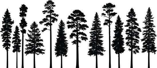 Set of black pine tree silhouettes, coniferous forest plants, tall evergreen nature collection, and woodland landscape vector icons. © AtikurRahman