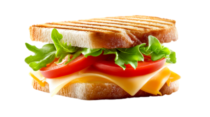 A savory grilled cheese sandwich boasting perfectly toasted bread with prominent grill marks, rich cheddar cheese, fresh red tomato slices, and crisp green salad, ideal for casual dining