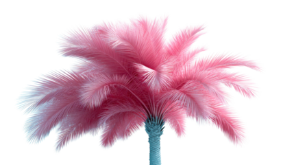 A vividly colored date palm tree features strikingly pink fronds and a cool blue trunk for eyecatching visual effects and tropical themed projects.