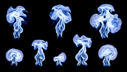 Glowing blue jellyfish in the dark.