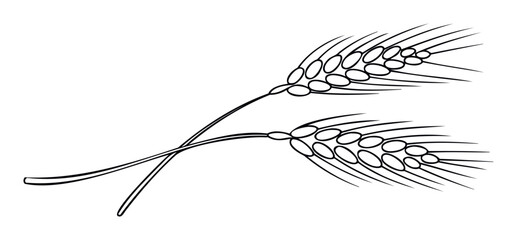 Graphic black outline depiction of two intertwined wheat ears symbolizing agriculture and harvest, suitable for bakery product packaging or farming industry branding.