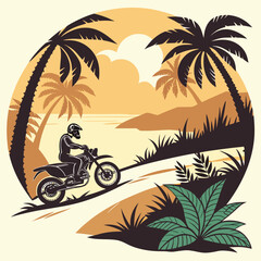 palm tree silhouette on the bike of road beautyfull tree 