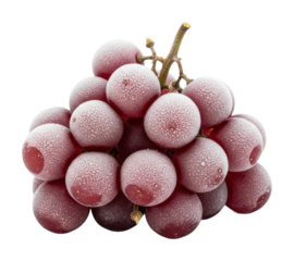 Harvesting fresh red grapes vineyard food nature isolated on transparent background