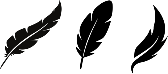 Feather Set  Pngs On Isolated white for writing calligraphy and vintage feather design element