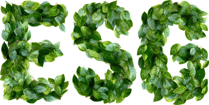 Green Leaf Letters Forming 'FSB' Highlight Nature's Beauty and Bold Typography