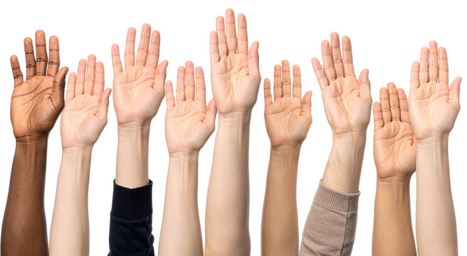 closeup of group hand up gesture in a row isolated on white background - Powered by Adobe