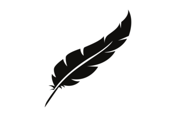 Set of Bird Feather. Feathers set in a flat style. Black quill feather collection isolated on white background  detailed majestic feather collection