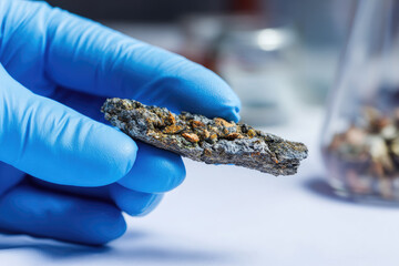 Gloved hand holding sample with mycelium bio texture showing organic growth and rough surface in laboratory environment