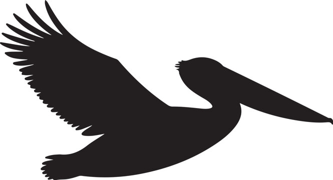Black silhouette of a pelican in flight bird flying