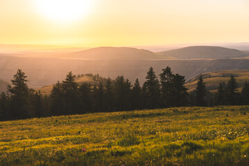 Evening Sunset Glow Above Forest And Meadow
