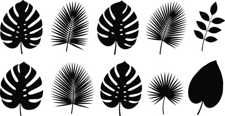 Black tropical leaf silhouette collection featuring various exotic palm monstera and fern shapes for jungle nature patterns summer decor and vector design. © Aminul